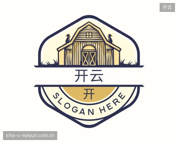 解读开云官网